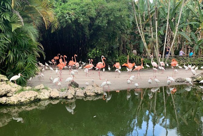 Skip the Line: Flamingo Gardens Admission Ticket in Fort Lauderdale - An In-Depth Look at Flamingo Gardens