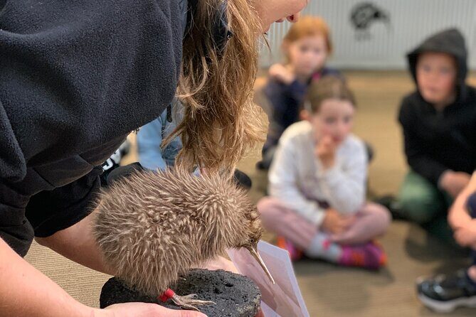 Skip the Line: Franz Josef Wildlife Center Ticket with Optional Backstage Pass - Exploring the Franz Josef Wildlife Centre Experience: An Honest Review