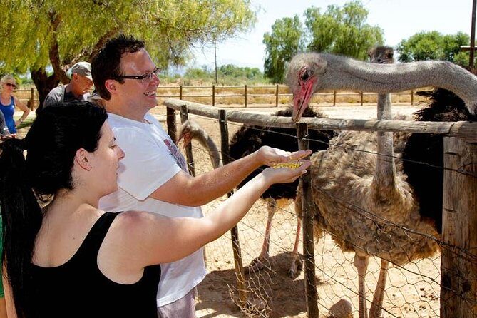 Skip the Line: Highgate Ostrich Farm Tour Ticket - A Detailed Look at the Experience