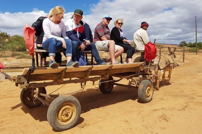 Skip the Line: Highgate Ostrich Farm Tour Ticket - Authentic Feedback and Insights from Reviewers