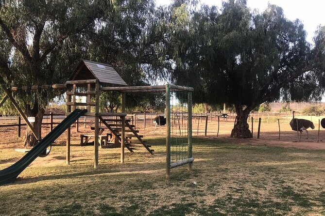 Skip the Line: Highgate Ostrich Farm Tour Ticket - The Sum Up: Is It Worth It?