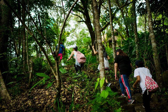 Skip the Line: Hike Eat Swim at Mount Purro Nature Reserve Ticket - An In-depth Look at Mount Purro Nature Reserve