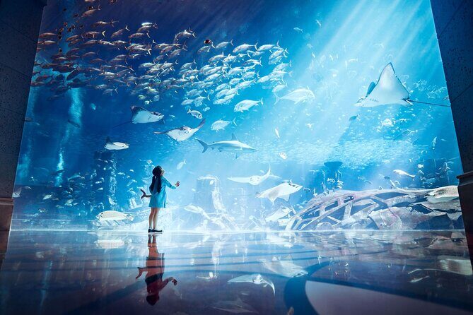 Skip the Line: Lost Chambers Entry at Atlantis The Palm Ticket - What to Expect from Your Visit