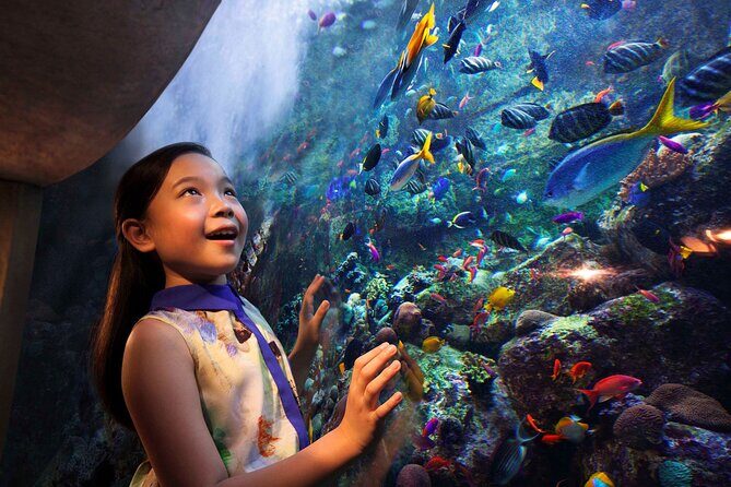 Skip the Line: Lost Chambers Entry at Atlantis The Palm Ticket - The Sum Up: Who Is This Experience Best For?
