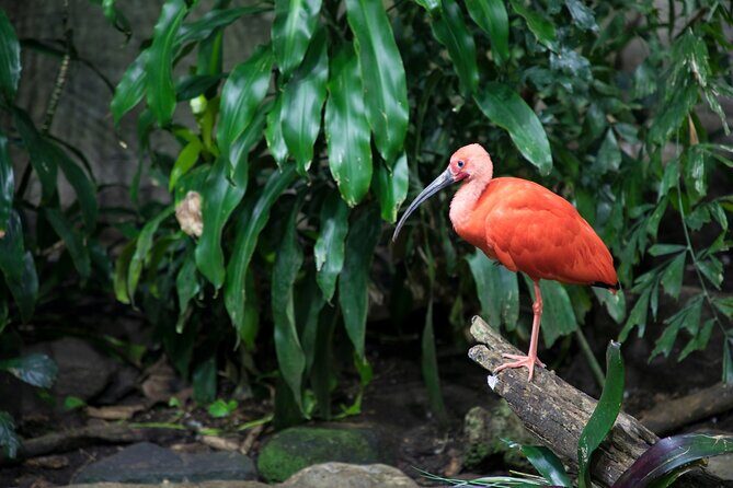 Skip-the-line Montreal Biodome Private Tour with Tickets - Why This Tour Might Be Just Right for You