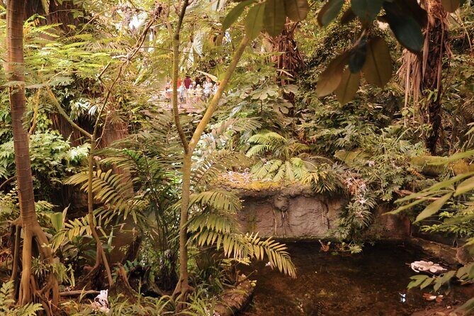Skip-the-line Montreal Biodome Private Tour with Tickets - Final Words