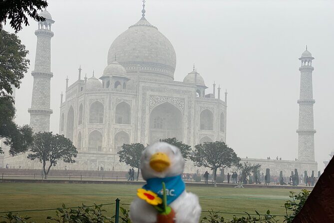 Skip-the-Line Taj Mahal Tour-Hassle-Free Entry & Guide Experience - What Real Travelers Say