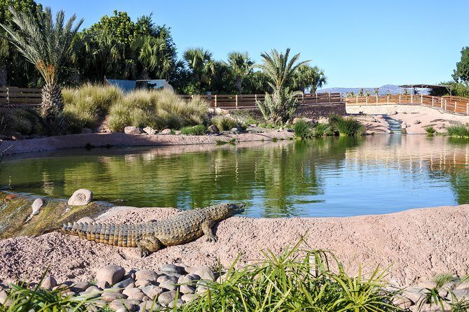 Skip the Line Ticket to Crocoparc with Optional Transfert - What’s Inside the Park: A Detailed Look