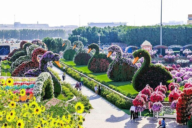 Skip The Line to Dubai Miracle Garden Entry Ticket - An Overview of Dubai Miracle Garden