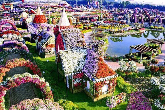 Skip The Line to Dubai Miracle Garden Entry Ticket - Authentic Experiences and Traveler Feedback