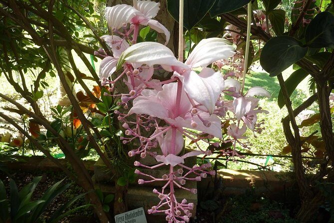 Skip the Line: Vallarta Botanical Garden Admission Ticket - Key Points