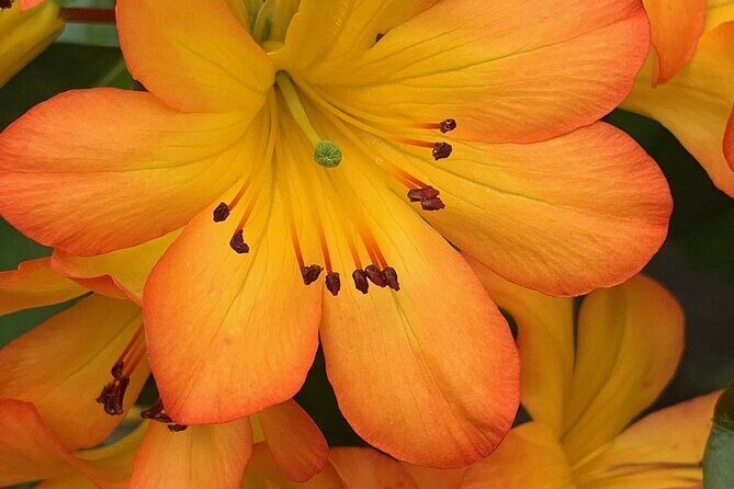 Skip the Line: Vallarta Botanical Garden Admission Ticket - FAQs