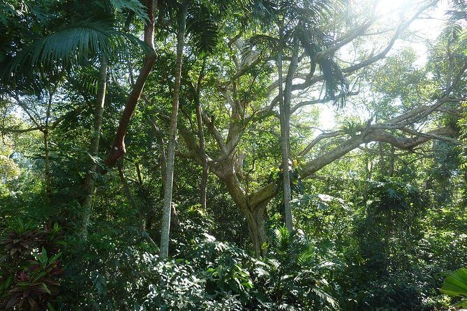 Skip the Line: Vallarta Botanical Garden Admission Ticket - Final Thoughts