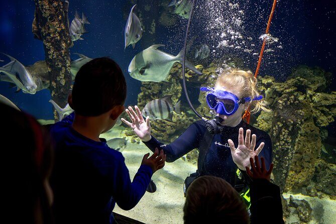 Skip the Line: Virginia Living Museum Admission Ticket - An In-Depth Look at the Virginia Living Museum