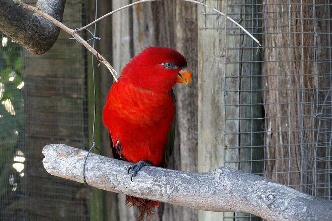 Skip the Line: World of Birds Admission Ticket - Who Should Visit?