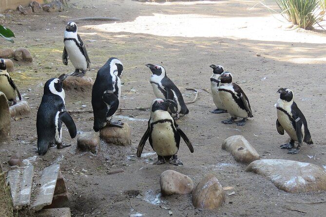 Skip the Line: World of Birds Admission Ticket - The Sum Up: Is It Worth It?