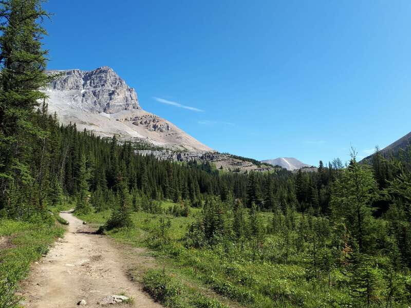 Skoki Lake Louise Daily Guided Hike in the Canadian Rockies - Final Thoughts