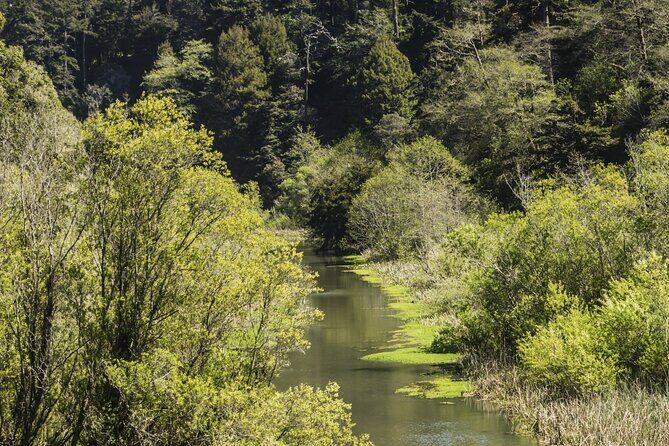 Skunk Train: Pudding Creek Express from Fort Bragg - A Practical Look at the Experience