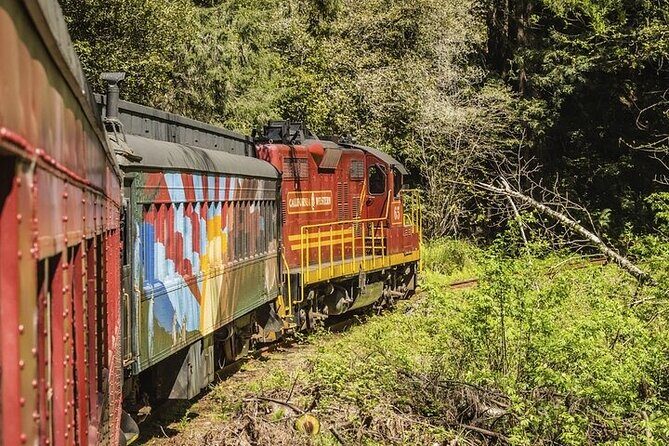 Skunk Train: Wolf Tree Turn from Willits - The Journey: What to Expect on the Wolf Tree Turn