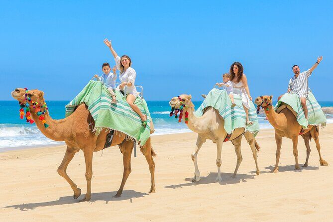 Sky Bike Adventure with Free Camel Ride and Horseback Riding - An In-Depth Look at the Tour