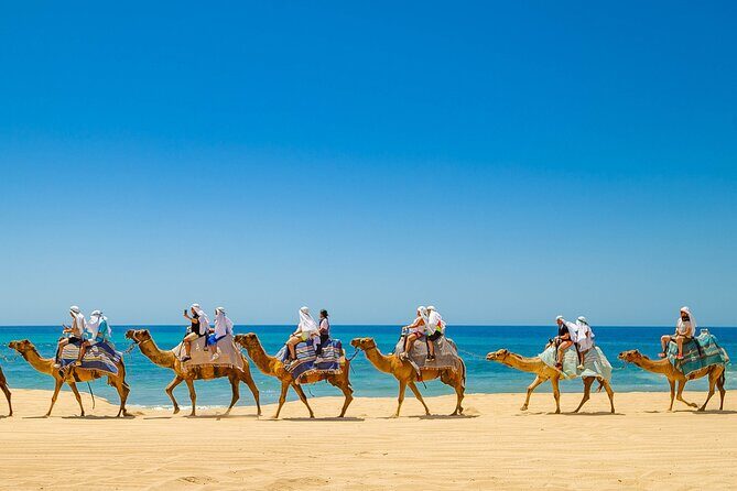 Sky Bike Adventure with Free Camel Ride and Horseback Riding - Who Will Love This Tour?