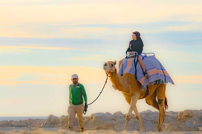 Sky Bike Free Camel Ride and Horseback Riding - The Camel Ride and Horseback Experience