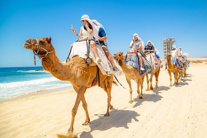 Sky Bike Free Camel Ride and Horseback Riding - Tequila Tasting: Savoring Mexico’s Spirit
