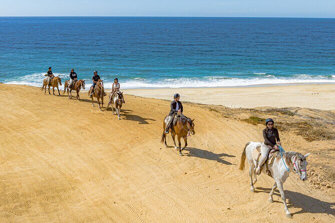 Sky Bike Free Camel Ride and Horseback Riding - Authenticity and Value