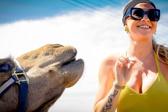 Sky Bike Free Camel Ride and Horseback Riding - Who Will Enjoy This Tour?