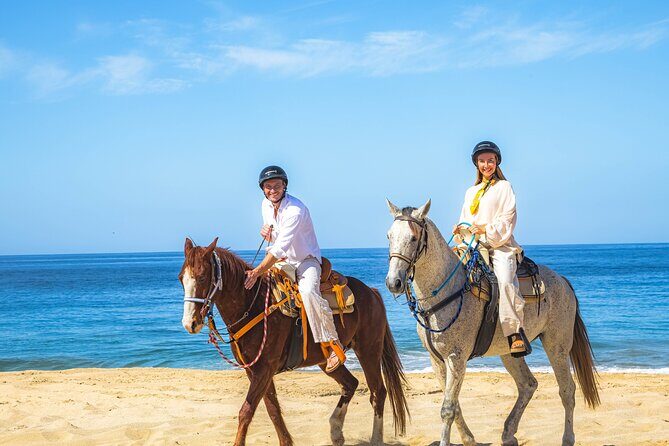 Sky Bike Free Camel Ride and Horseback Riding - Final Thoughts