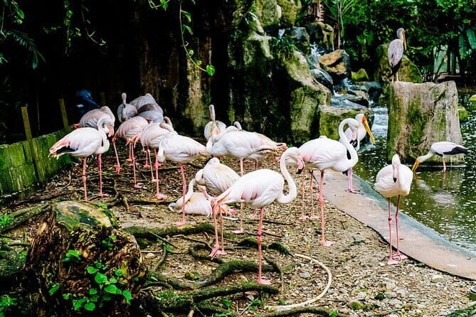 Sky Mirror Experiences at Kuala Selangor plus Batu Caves Stopover - FAQ