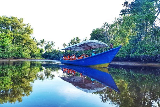 Sky-Mirror Photographing and Proboscis Monkey & Fireflies Watching River-Cruise - Introduction: An Adventuresome Evening in Kota Kinabalu