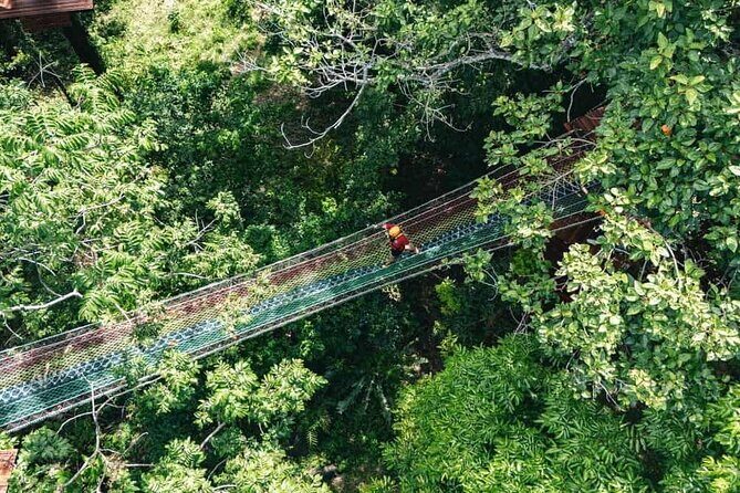 Sky Rock Khaolak Jungle Adventure Zipline Experience - Key Points