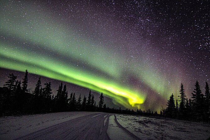 SkyChase Northern Lights Experience - What People Are Saying