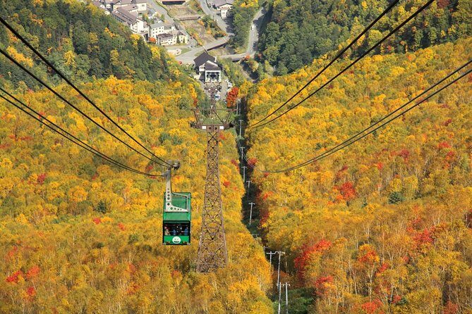 SkyExpress: Autumn Sounkyo Customised Private Day Tour (Up to 8 Passengers) - An Honest Look at a Scenic Day in Sounkyo