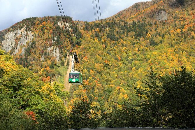 SkyExpress: Autumn Sounkyo Customised Private Day Tour (Up to 8 Passengers) - What This Tour Means for You