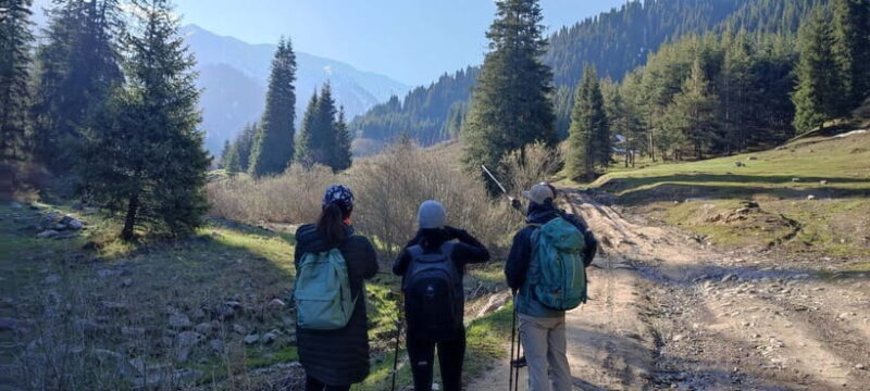 Skyline Hike in Almaty: Bukreev Peak - Key Points