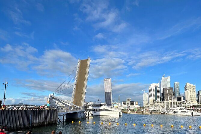Skyline To Summit - Aucklands Ultimate Private City Experience - A Practical Look at Auckland’s Skyline to Summit Tour
