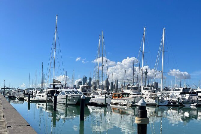Skyline To Summit - Aucklands Ultimate Private City Experience - Price and Value