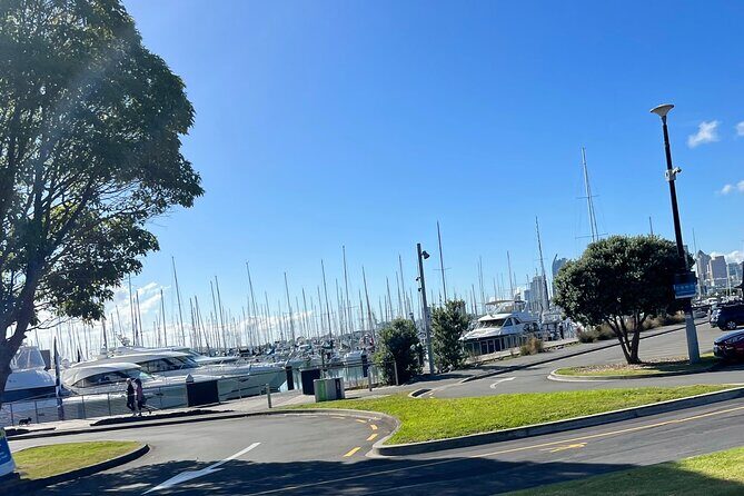 Skyline To Summit - Aucklands Ultimate Private City Experience - Final Thoughts