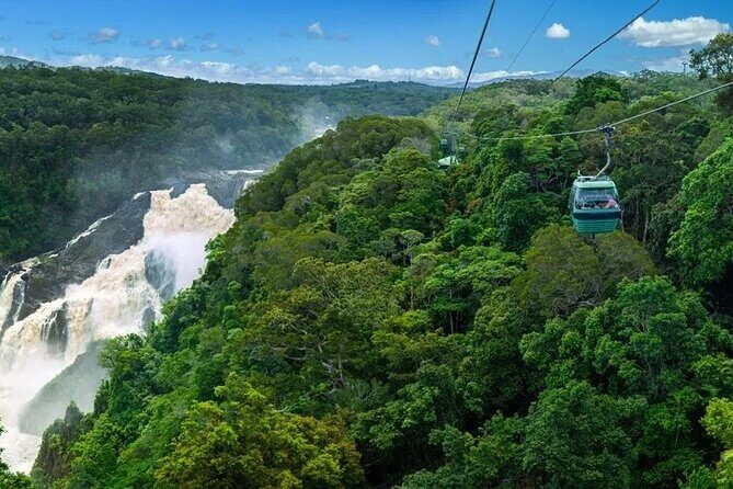 SKYRAIL CABLEWAY TRANSFER between Port Douglas & Skyrail (RETURN) - An Honest Look at the Skyrail Transfer Experience