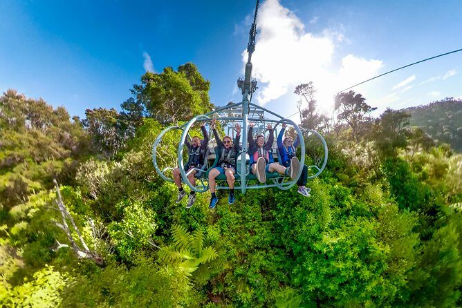 Skywire Adventure at Cable Bay, Nelson - What to Expect When You Arrive