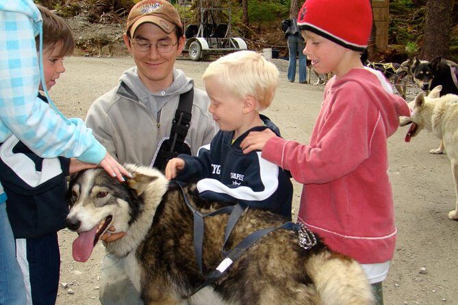 Sled Dog Discovery in Juneau - Who Would Love This Tour?