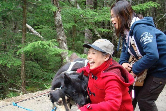 Sled Dog Discovery in Juneau - FAQ