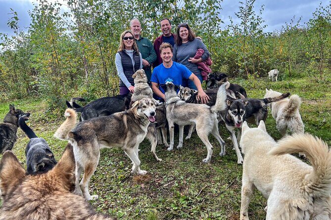 Sled Dog Kennel Tour - An In-Depth Look at the Sled Dog Kennel Tour