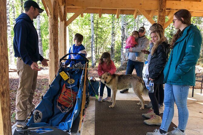 Sled Dog Ride and Scenic Drive from Anchorage - Exploring the Itinerary and Experience in Detail