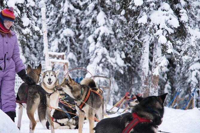 Sledding and Homesteading Adventure - Key Points