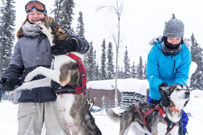 Sledding and Homesteading Adventure - The Real Experience: What Travelers Say