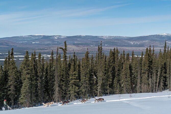Sledding and Homesteading Adventure - Practical Tips for Participants