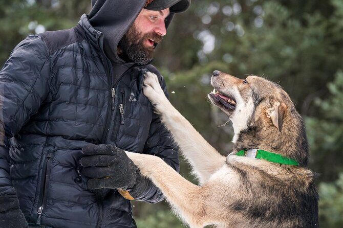 Sledding and Homesteading Adventure - Who Should Consider This Tour?